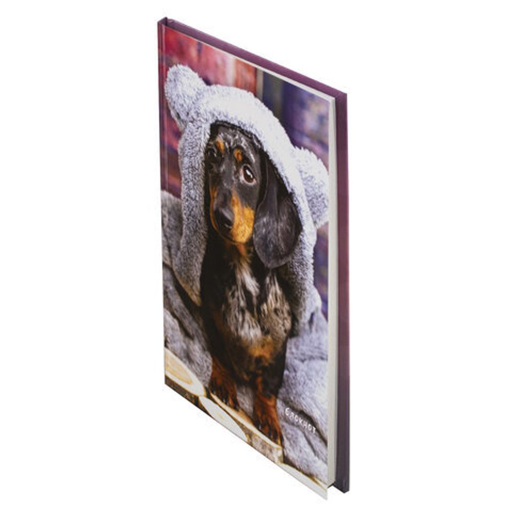 Блокнот А5 (135х206 мм), 80 л., твердый, клетка, STAFF, "Милый пёс", 111600