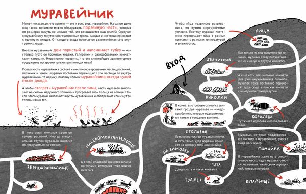 Микросупергерои. Самые умные