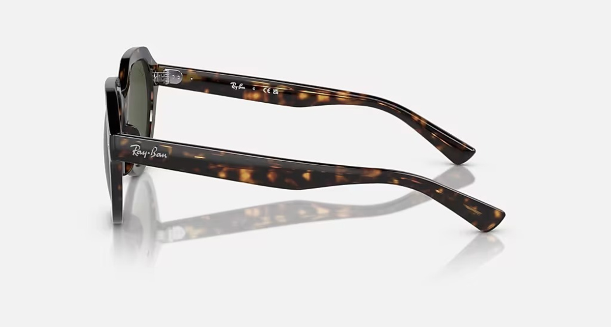 RAY-BAN GINA RB4399 902/31
