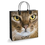 Подарочные пакеты 30+10из мягкого пластика (Интерпак) х10 (Кэт) Россия