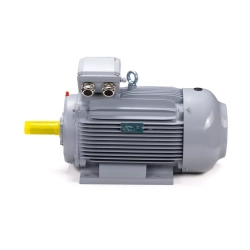 Электродвигатель ESQ PR 160 M6 GST-Б1-S12-IE2 15/1000 IM2001