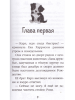 Снежное расследование