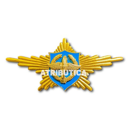 Знак Нагрудный Рота Почетного Караула ВВС