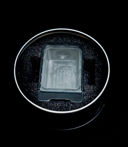 NTSU Boro Plus by Ghost Bus Club