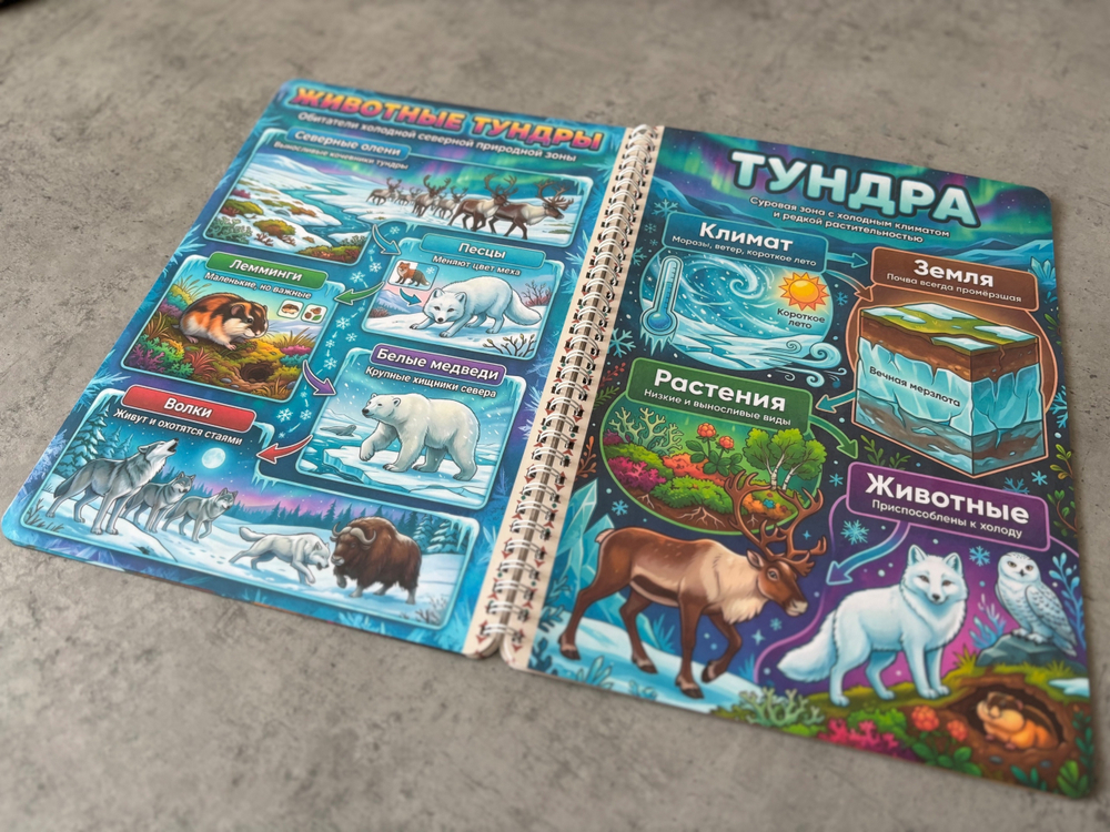 Альбом "Природные зоны"