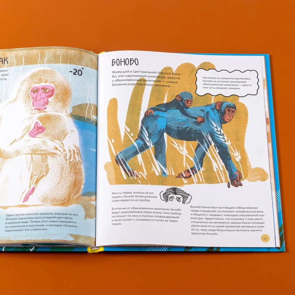 Вот так капибара!