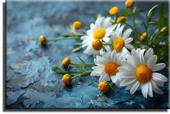 Постер "Ромашки"