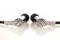 Final Audio Heaven VII Polished Silver