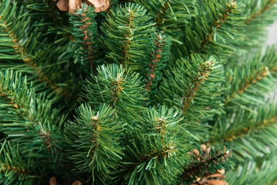 Искусственная елка Снежная королева зеленая 270 см., мягкая хвоя, ЕлкиТорг (32270)