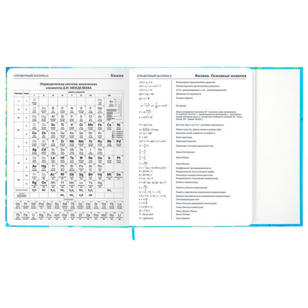 Дневник 1-11 класс 48 л., твердый, BRAUBERG, матовая ламинация, магнитный клапан, закладка-ляссе, с подсказом, "Котик", 107244