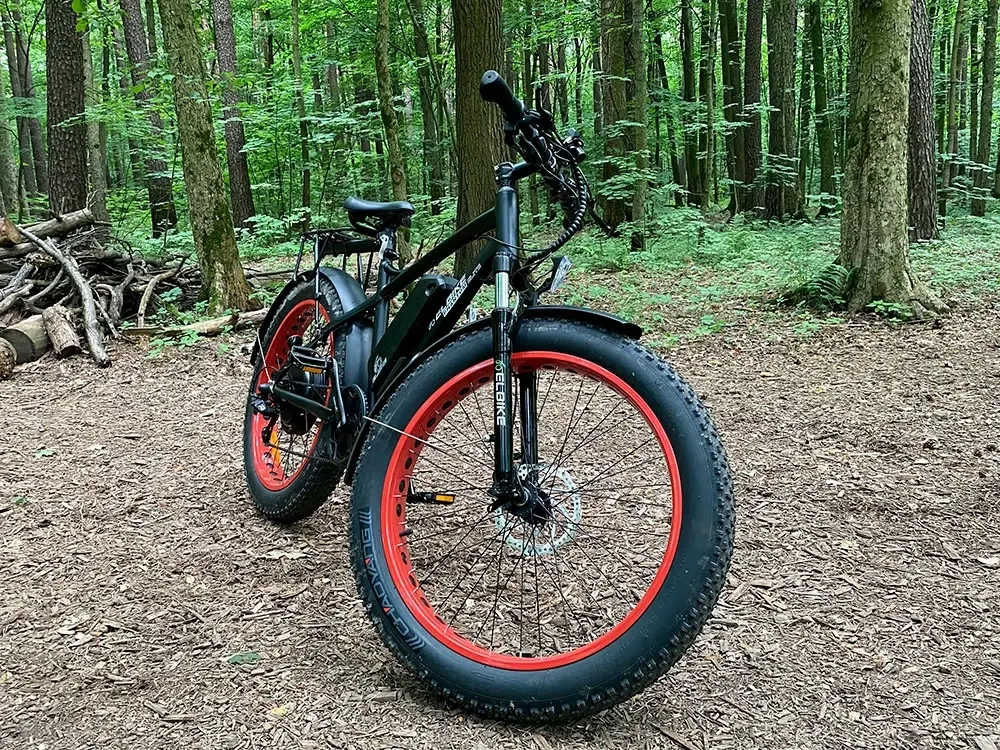 Электрофэтбайк Elbike Phantom Elite (Черный)
