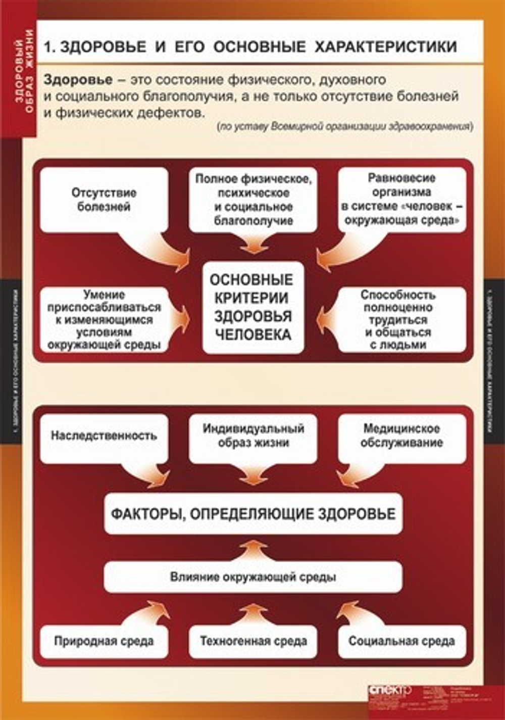Здоровый образ жизни