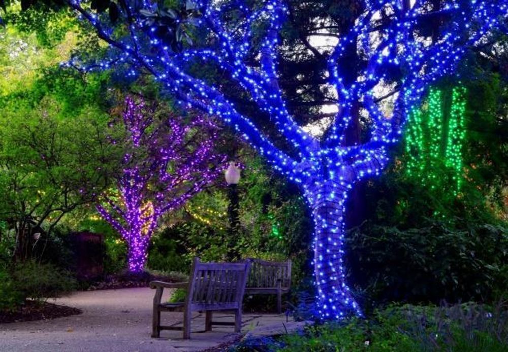 Гирлянда уличная на деревья «Клип-Лайт»