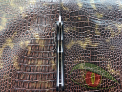 Нож Steelclaw "Скопарь2"