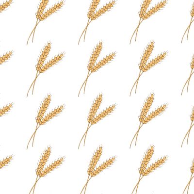 колосок пшеницы на белом фоне