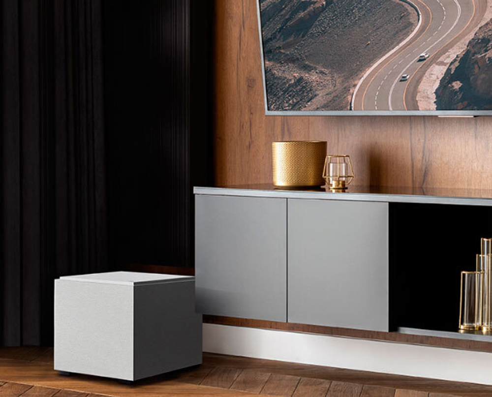 Definitive Technology Descend DN8