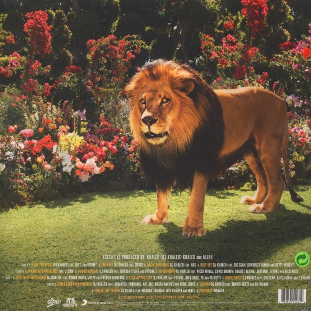 DJ Khaled / Major Key (2LP)