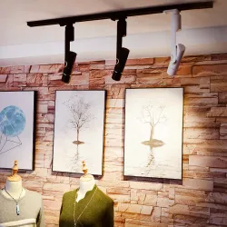 Трековый светильник Arte Lamp