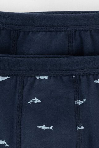 трусы/ уп  для мальчика  К 1980-2уп/морской синий,акулы