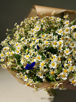 Летний солнечный букет с танацетумом и ароматными пионами Сара Бернард (С0034)