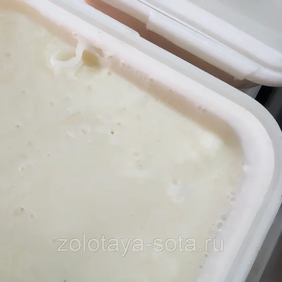 Мед Донниковый 1 кг