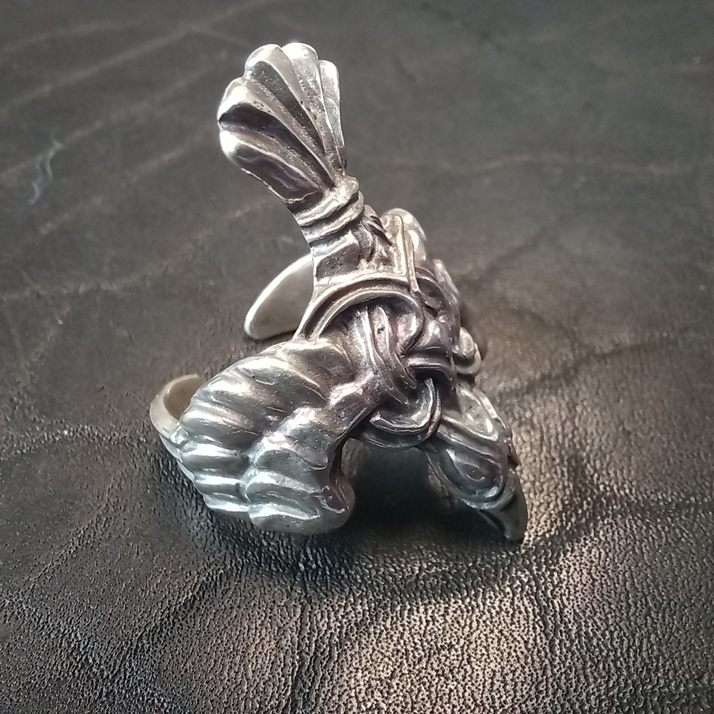 Кольцо. Ворон