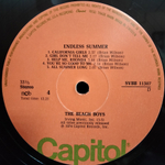 The Beach Boys / Endless Summer (2LP)