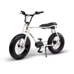 Электровелосипед Ruff Cycles Lil' Buddy Special Edition (2024)