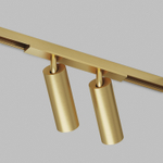 DK5742-SB Светильник для трека SHINE SPOT со светодиодом, D35*H100, 48V DC, 8W*2 , RA?90, 3000K, IP20, сатинированная латунь, алюминий