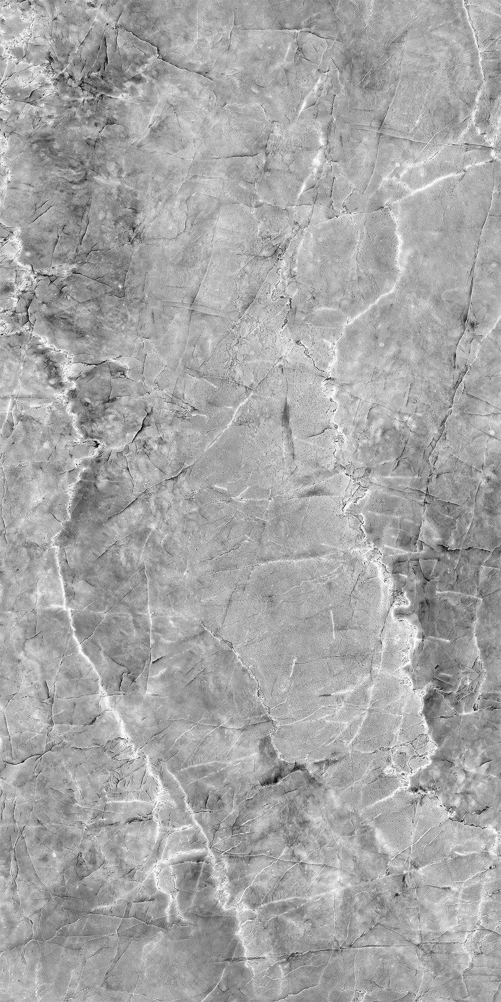 Шерл Сильвер