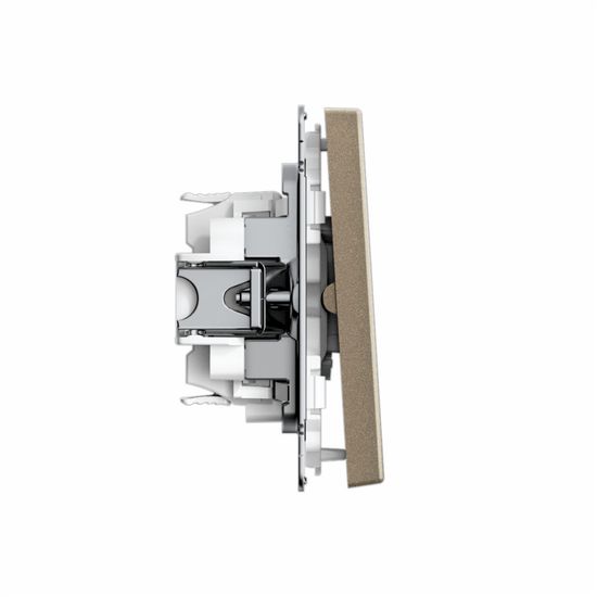 Переключатель 2-кл. ArtGallery 10AX быстрозажим. клем. механизм шампань SE GAL000565S