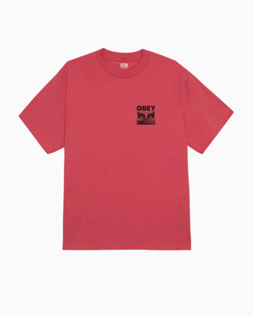 Футболка Obey In a Different Place