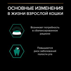 Пауч Pro Plan Maintenance для взрослых кошек, с курицей в соусе