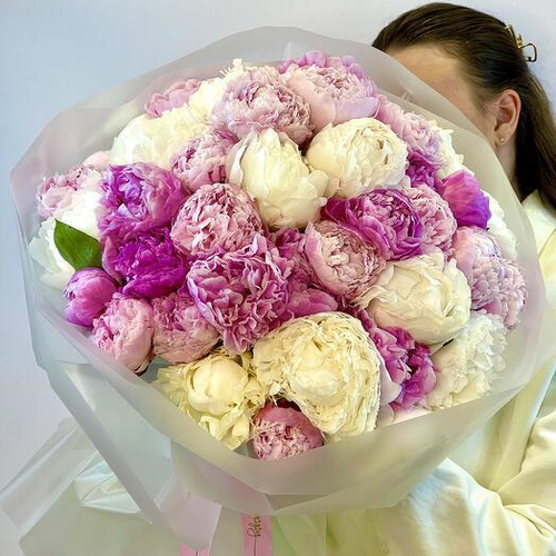 Монобукет из 35 пионов Ангел и Сара Бернар. Монобукет 059 Chalet Green