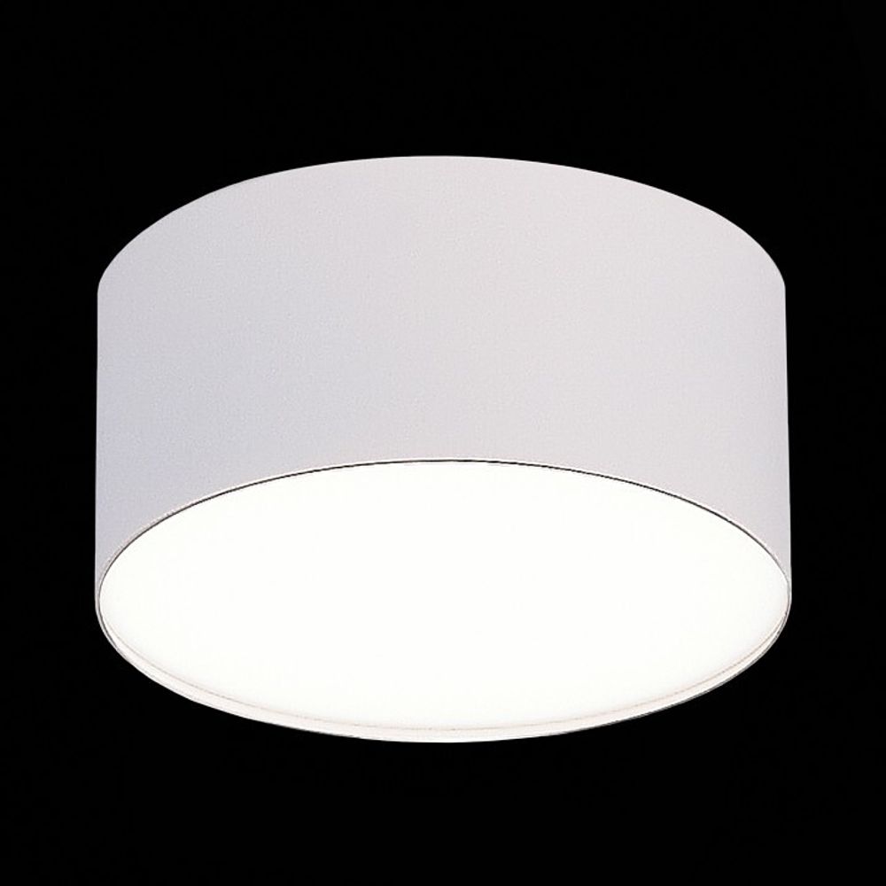 Накладной светильник ST-Luce ST606 ST606.542.12