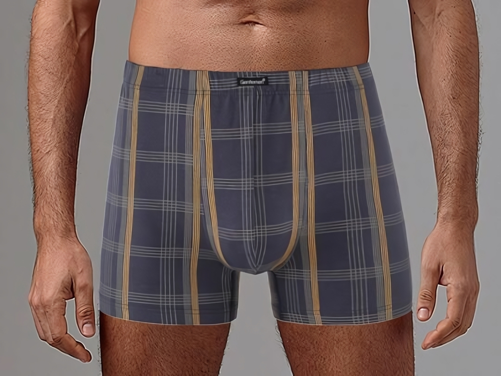 Мужские трусы-боксеры в клетку из высококачественного хлопка (Размер: XXL) (Цвет: синий)