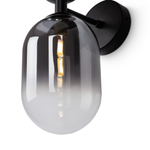 Настенный светильник Freya Tesse FR1011WL-02B