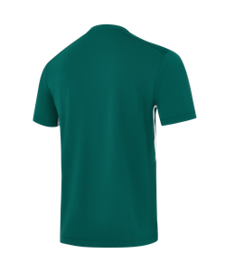 Футболка тренировочная Jogel DIVISION PerFormDRY Training Poly T-shirt, темно-зеленый N4