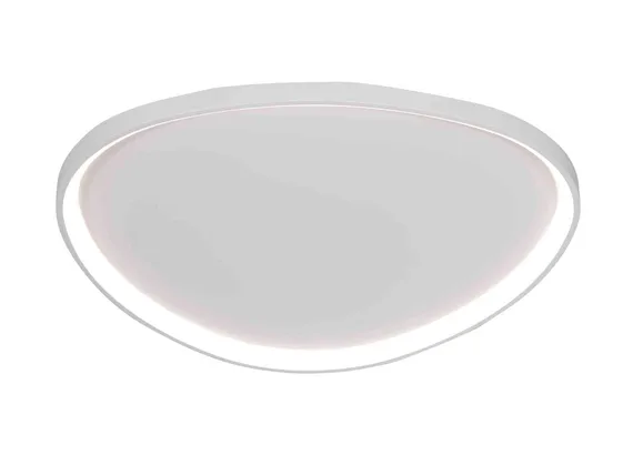 2550/450 WHITE (1) Потолочный светильник (RL)