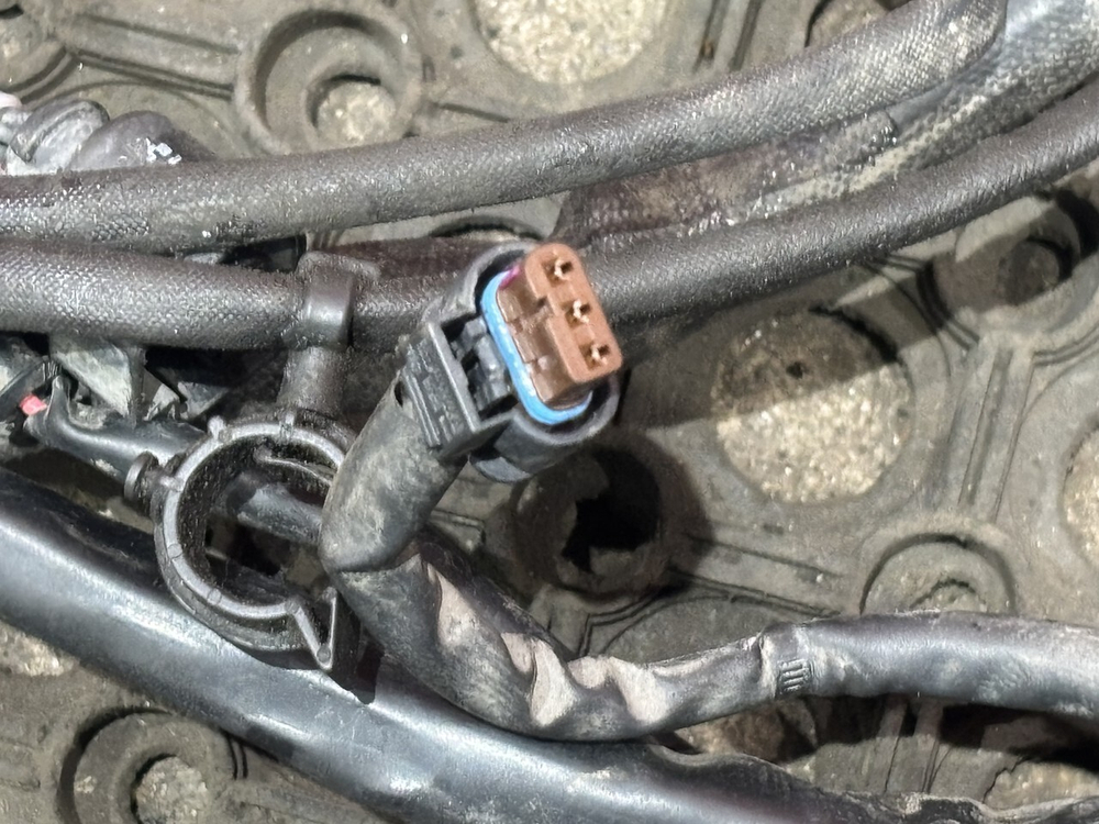 Проводка двигателя 2021г.