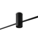 Потолочный светильник Freya FR5363CL-02B1