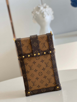 Louis Vuitton Vertical Trunk Pochette