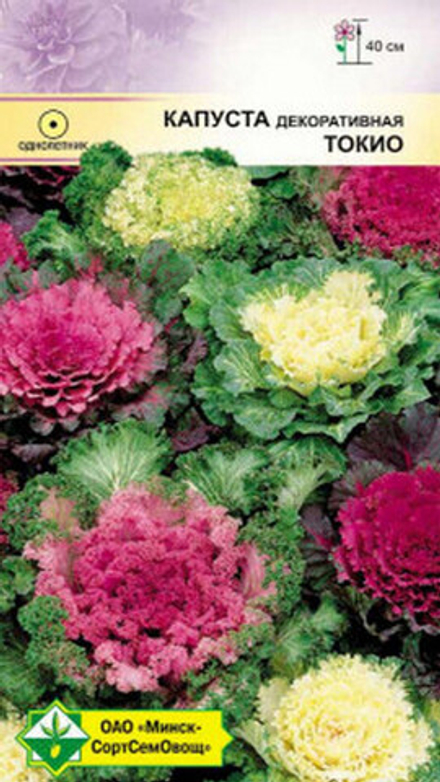 Капуста декоративная "Токио" 0.2г, Германия.