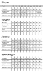 Бриджи