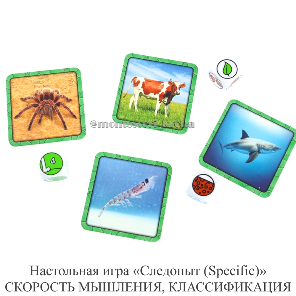 Настольная игра «Следопыт (Specific)» СКОРОСТЬ МЫШЛЕНИЯ, КЛАССИФИКАЦИЯ