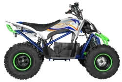 Электроквадроцикл MOTAX E-PENTORA 1500W
