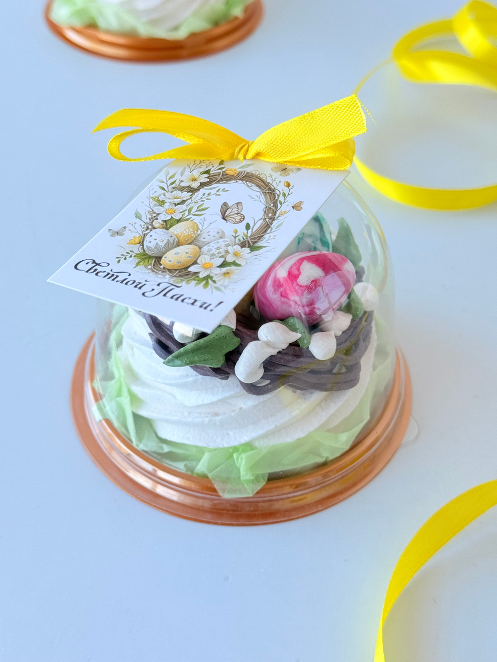 Купол «Гнездо»