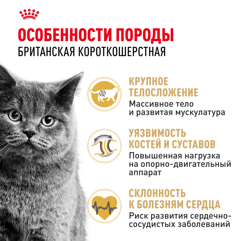 Royal Canin British Shorthair Adult (БРИТАНСКАЯ КОРОТКОШЕРСТНАЯ ЭДАЛТ) Корм сухой для взрослых британских кошек 10кг