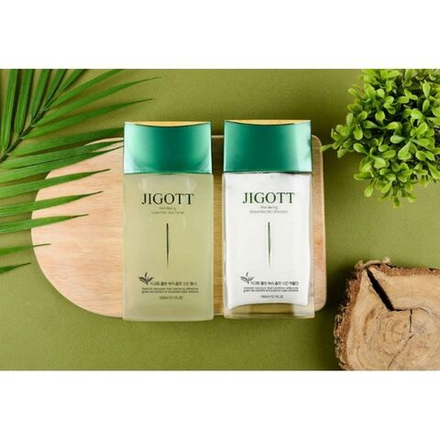 Мужской антивозрастной набор для лица JIGOTT WELL-BEING GREEN TEA HOMME SKIN CARE 2SET