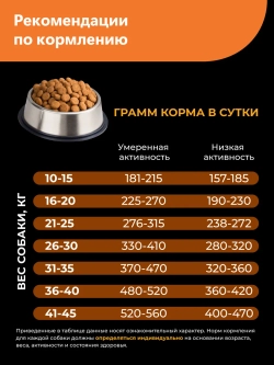 Корм для собак Лабрадор-ретривер старше 5 лет, индейка 12 кг